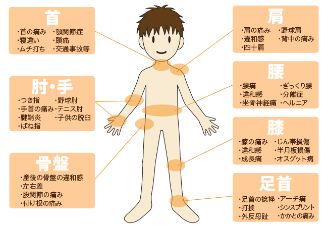 治療対象部位